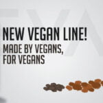 Elevate vegan protein powder is made by plantbuilt team members