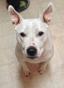 guess what I had in my hand?